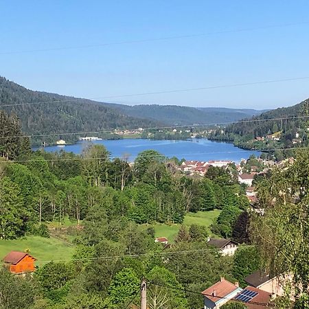 F3 Superbe Vue Lac, Grand Balcon, Ambiance Nature Gérardmer Dış mekan fotoğraf